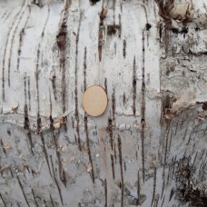 2 Punkte  für 8 cm Buchstaben 